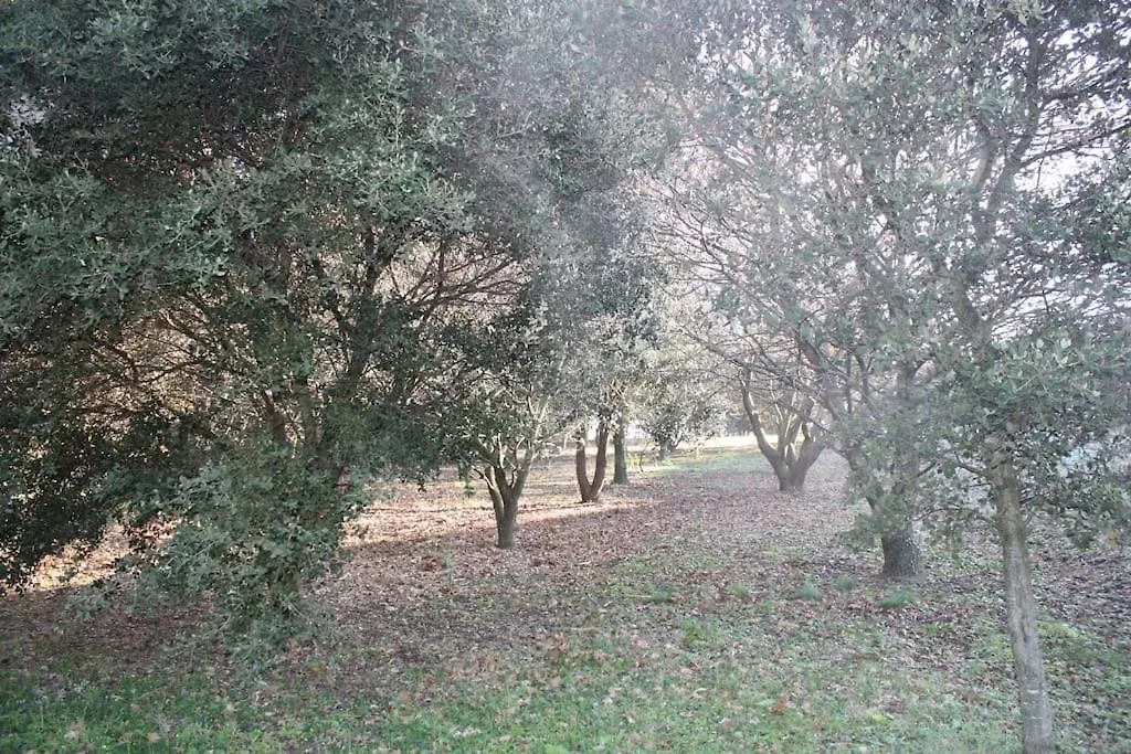 Gite De Tranzy La Baume-de-Transit Holiday home